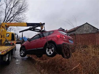 萨迦楚雄道路救援